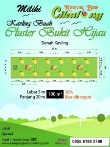 denah kavling cluster durian musang king kampung buah cikalong