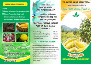 brosur kavling kebun durian musang king bukit madani puncak 2