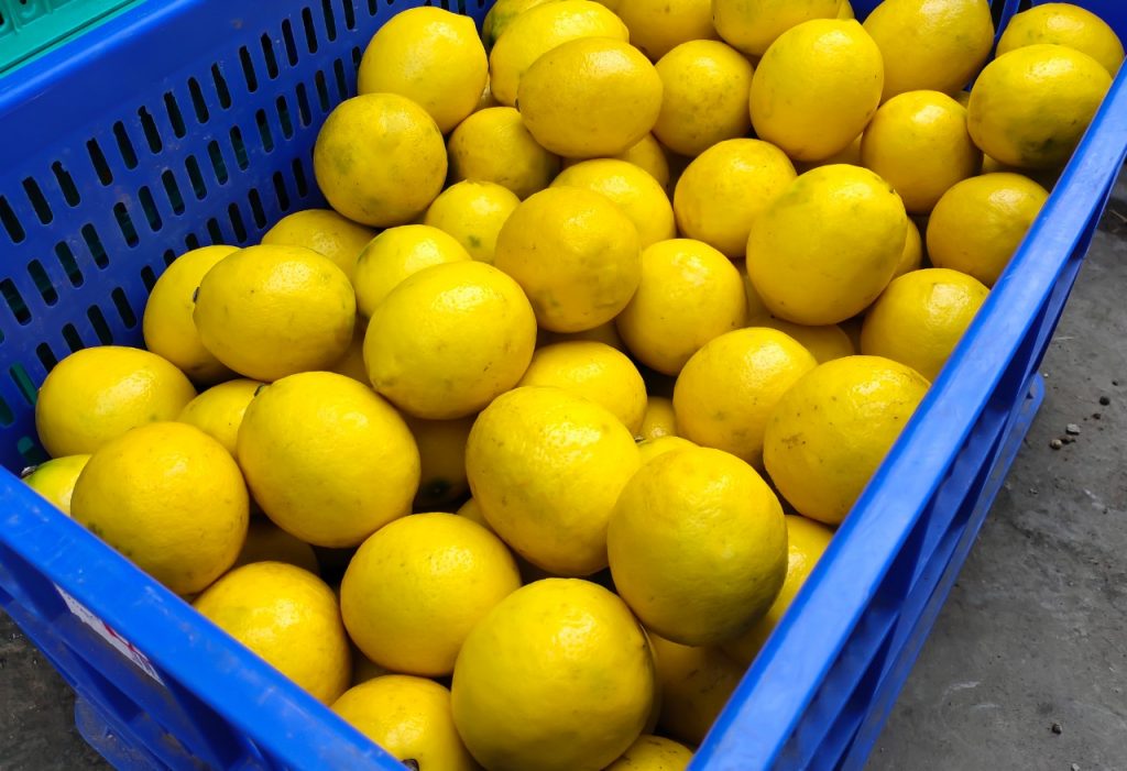 jual jeruk lemon california grosir dan eceran murah untuk wilayah bogor, cileungsi, cibubur, depok, bekasi, jakarta, tangerang, cikarang
